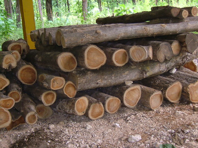 �D����˹�_(d��)��Ӯa(ch��n)��ľ �c���ɷŴ�