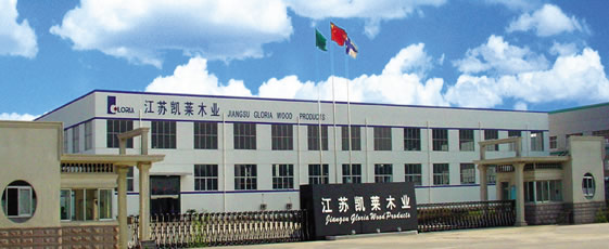 �D����˾���� �c���ɷŴ�