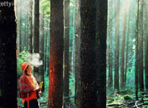 �D����Ȼ�x�� �c(di��n)���ɷŴ�