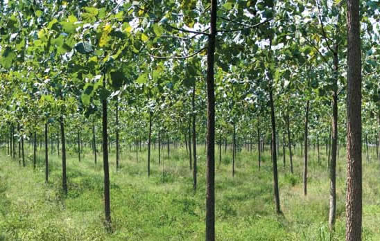 �D����˾���L(f��ng)�� �c(di��n)���ɷŴ�