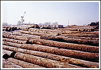 �D��ľ����ľ��Ʒ�ӹ����N�� �c���ɷŴ�