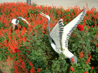 �D���S�^(q��)���@ �c(di��n)���ɷŴ�