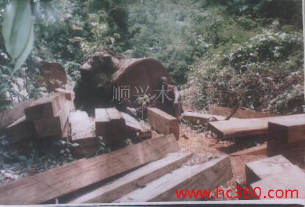 �D���һ�о �c(di��n)���ɷŴ�