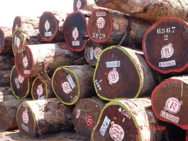 �D������A�P�� �c���ɷŴ�