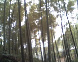 �D������ �c(di��n)���ɷŴ�