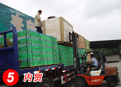 �D����(n��i)�Q(m��o) �c���ɷŴ�