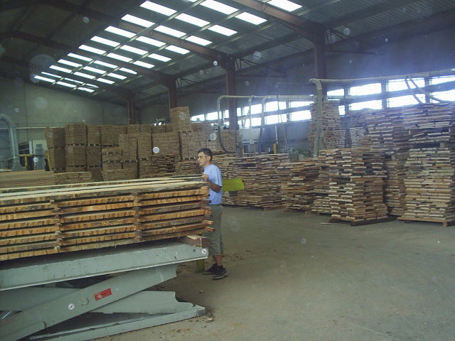 �D���}�� �c(di��n)���ɷŴ�