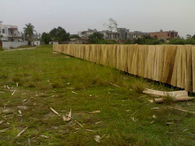 �D����� �c���ɷŴ�