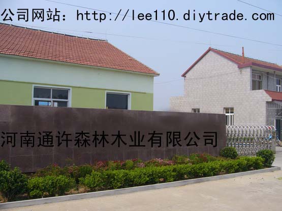 �D����˾���T �c���ɷŴ�