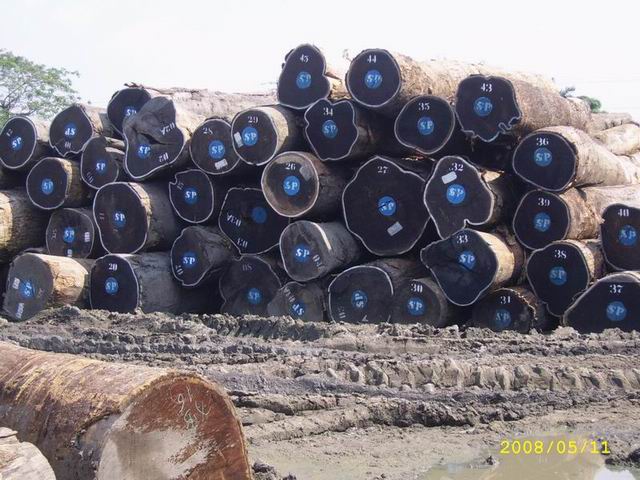 �D���ֈ�(ch��ng)1 �c(di��n)���ɷŴ�