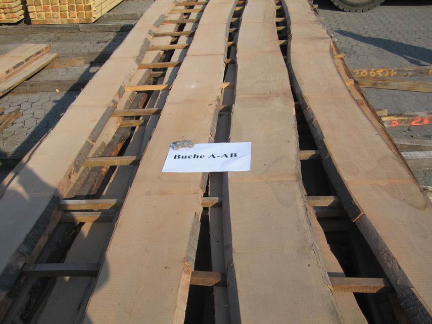 �D�����M(j��n)�ڙ�ľ��� �c���ɷŴ�