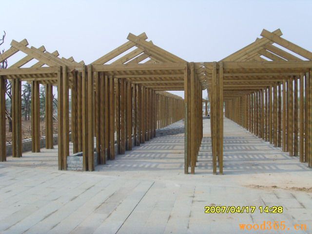 �D��ɭ����˾ �c���ɷŴ�