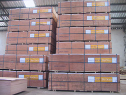 �D����(zh��n)���؛ �c(di��n)���ɷŴ�