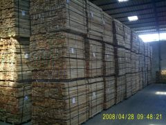 �D��ľ�ώ� �c(di��n)���ɷŴ�