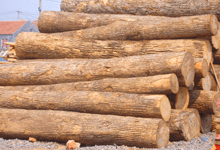 �D��ԭľ �c(di��n)���ɷŴ�