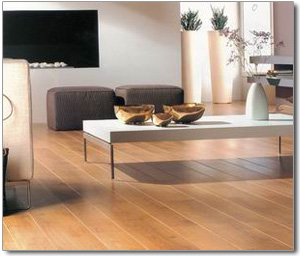 �D��2 �c(di��n)���ɷŴ�