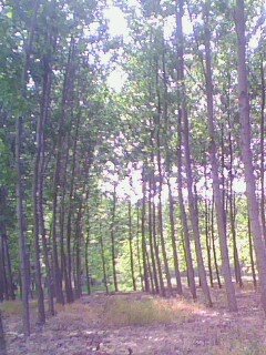 �D���a(ch��n)Ʒչʾ�� �c(di��n)���ɷŴ�