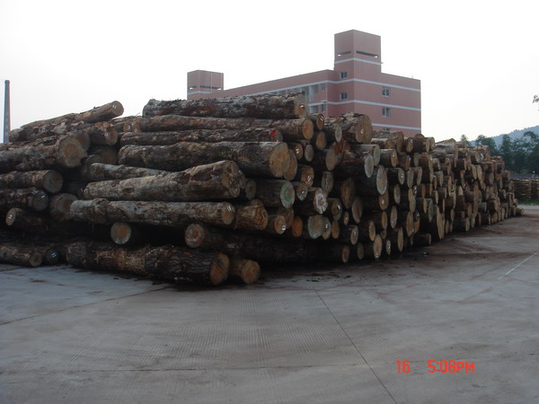 �D��ԭľ�^(q��) �c���ɷŴ�