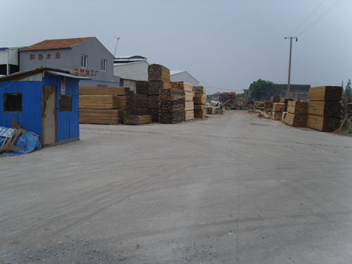 �D����˾ȫ�� �c���ɷŴ�