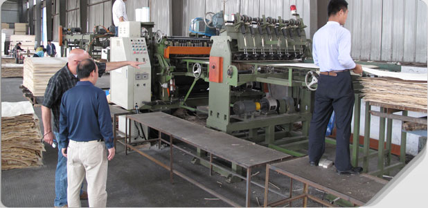 �D���R���_(k��i)�l(f��)ľ�I(y��) �c(di��n)���ɷŴ�