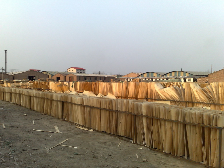 �D�������(ch��ng) �c(di��n)���ɷŴ�