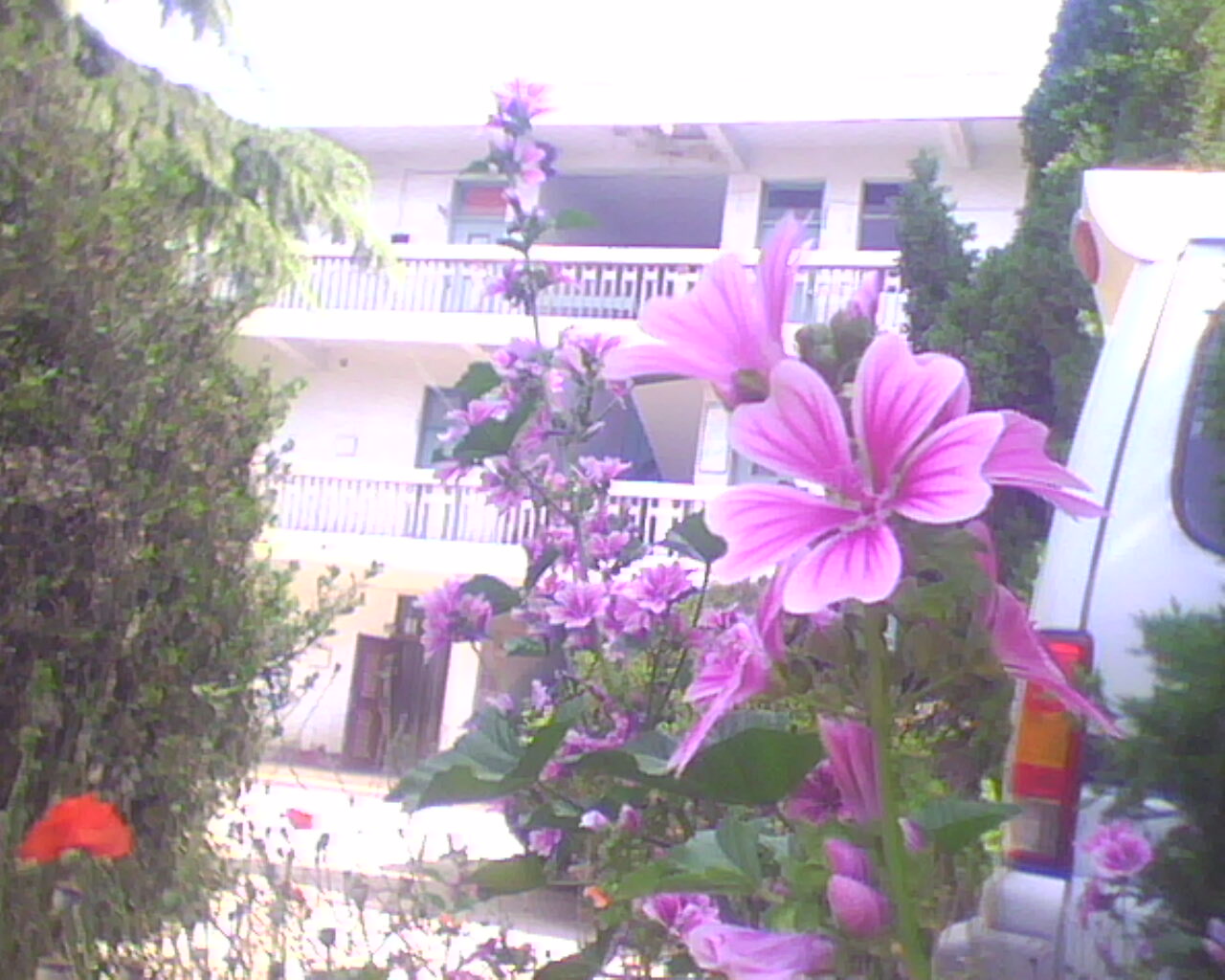 �D����˾�k���� �c���ɷŴ�