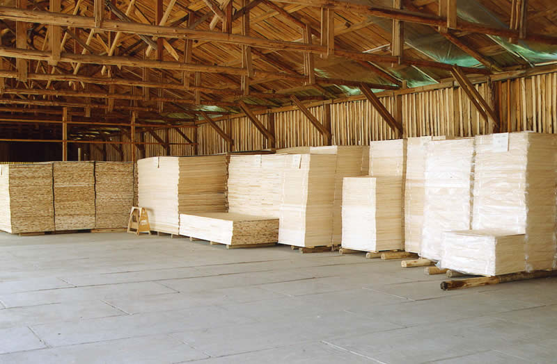 �D���}��һ�� �c���ɷŴ�