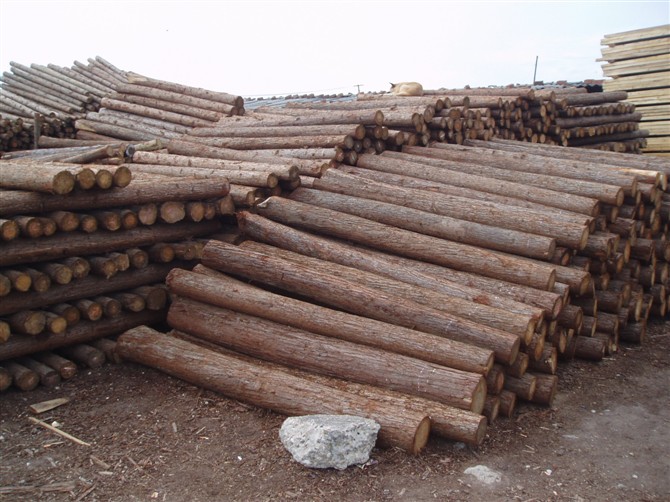 �D��ɼԭľ �c(di��n)���ɷŴ�