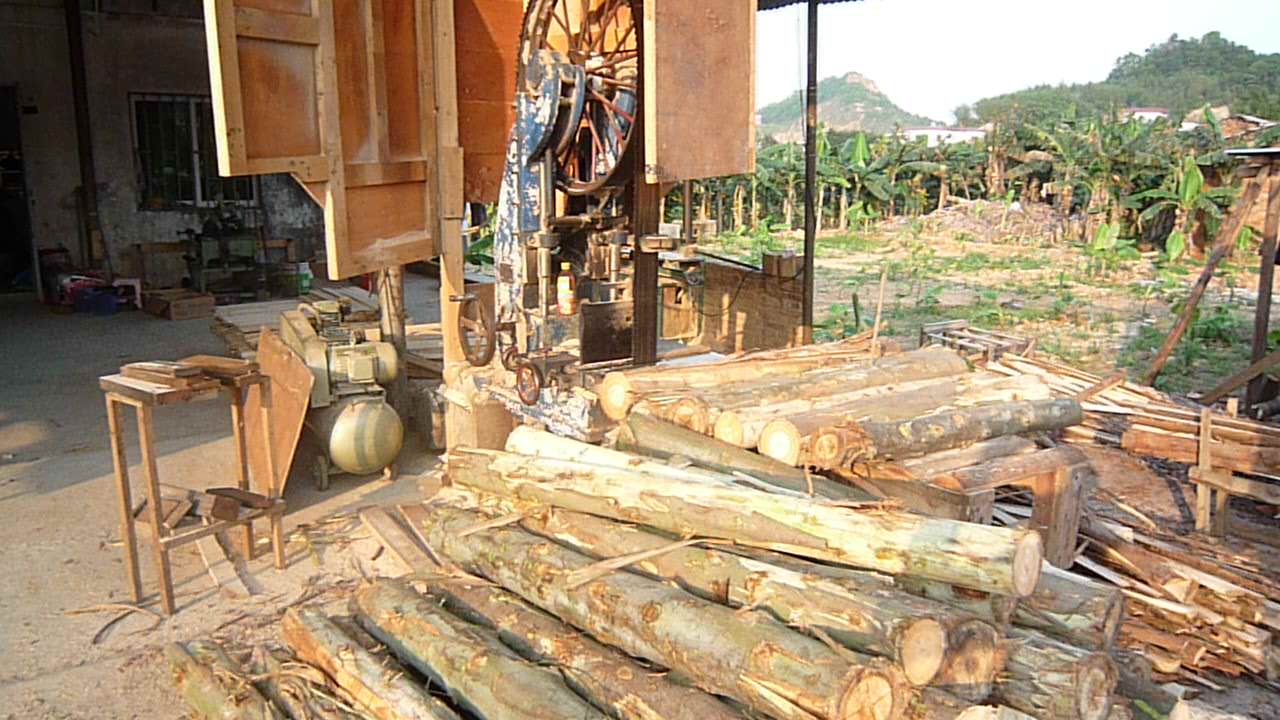 �D���sľ �c���ɷŴ�