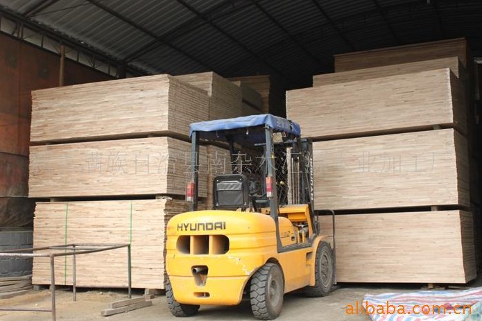 �D����I(y��)�L(f��ng)�� �c���ɷŴ�