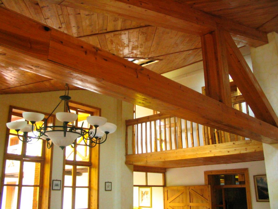 �D��ɣ�wľϞ�� �c���ɷŴ�