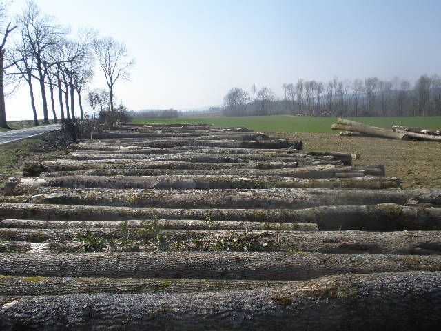 �D���ֈ�(ch��ng) �c(di��n)���ɷŴ�