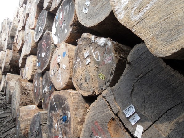 �D���T�� �c(di��n)���ɷŴ�