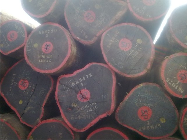 �D���t���� �c���ɷŴ�