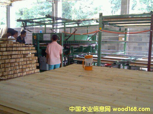 �D��5 �c���ɷŴ�