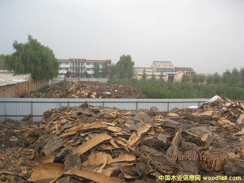 �D�����(d��ng)�F(xi��n)��(ch��ng) �c(di��n)���ɷŴ�