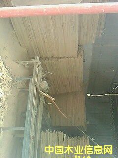 �D����ľ �c(di��n)���ɷŴ�