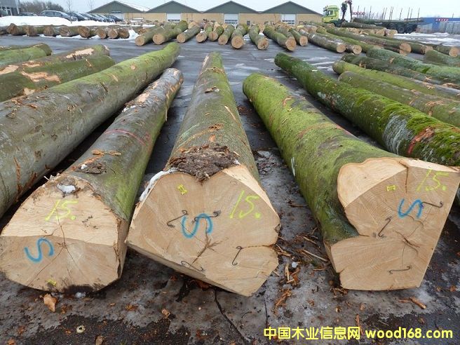 �D����ľ �c(di��n)���ɷŴ�