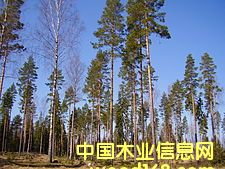 �D��BOMC.AB �c(di��n)���ɷŴ�