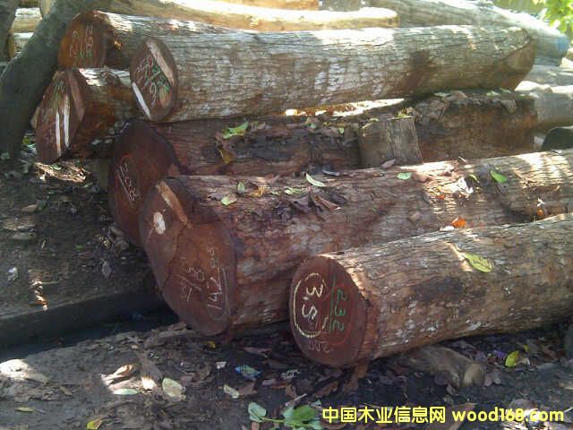 �D��ӡ���һ�оľ �c���ɷŴ�