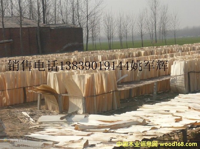 �D�����ϗ�ľ�ΰ�ӹ� �c���ɷŴ�