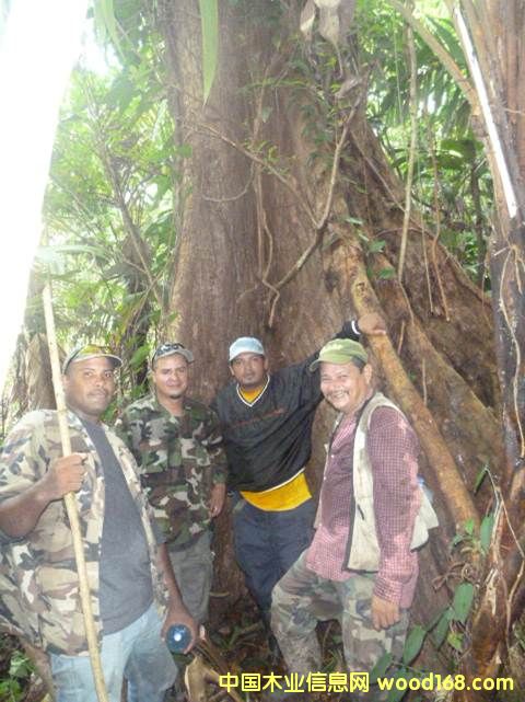 �D������ͬ�� 4 �c(di��n)���ɷŴ�