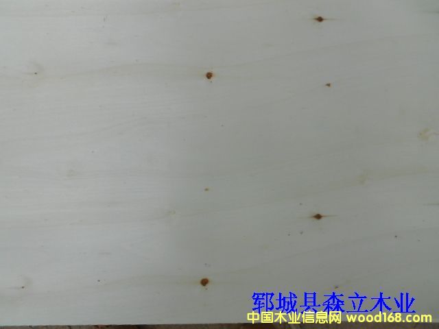 �D��4*8��A��(j��) �c(di��n)���ɷŴ�