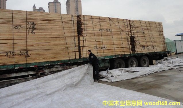 �D�������ɰ��ж܇�F(xi��n)�� �c���ɷŴ�