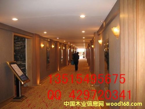 �D�����B(t��i)ľ�L�ǰ� �c���ɷŴ�