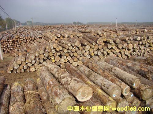 �D���ӹ�ԭ��  ľ��  �c(di��n)���ɷŴ�