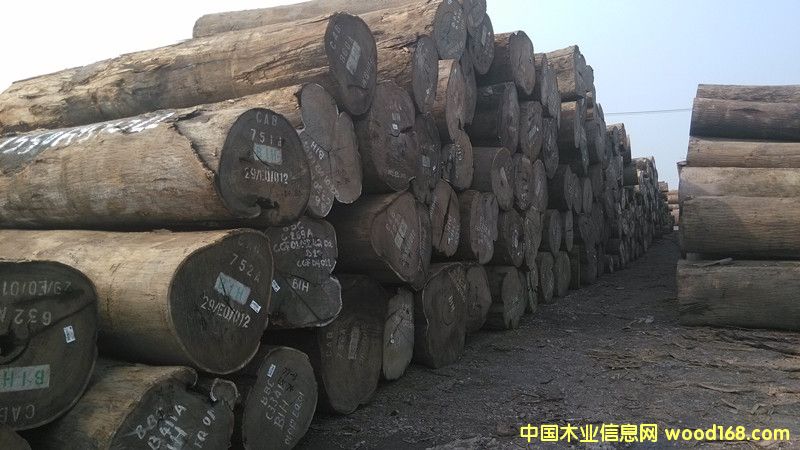 �D���µ�؛���u��ľ �c(di��n)���ɷŴ�