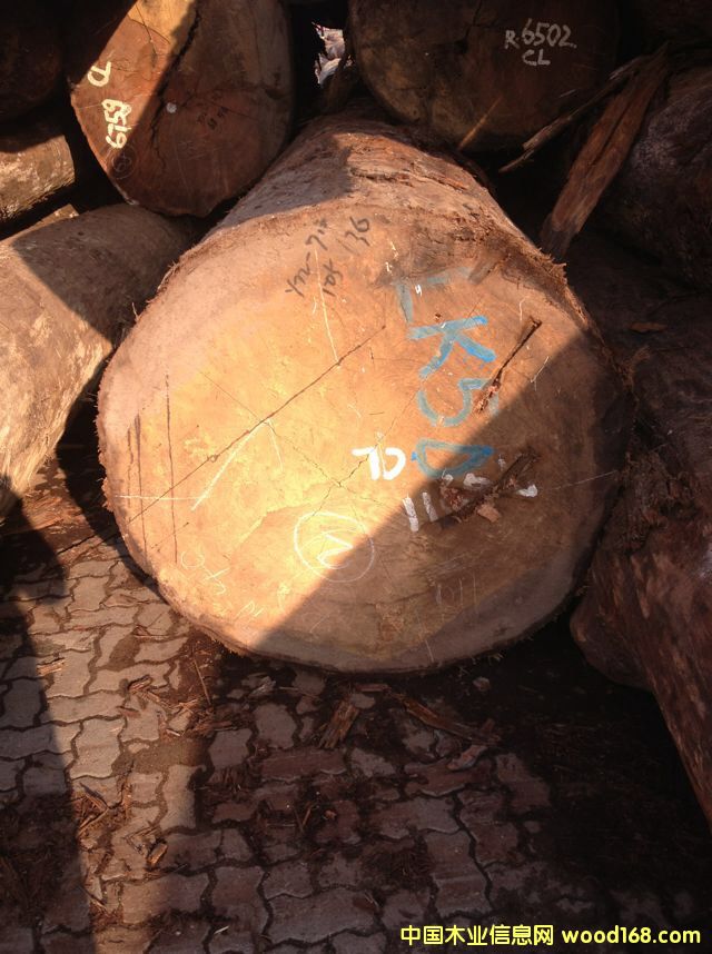 �D�����_�T �󏽱��ǹ� �c(di��n)���ɷŴ�