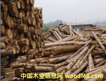 �D������������ľ����ľ �c(di��n)���ɷŴ�