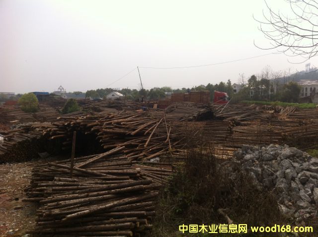 �D��ɼԭľ�b܇ �c(di��n)���ɷŴ�